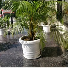 JAGUARE O ROUND -20" WHITE MARBLE